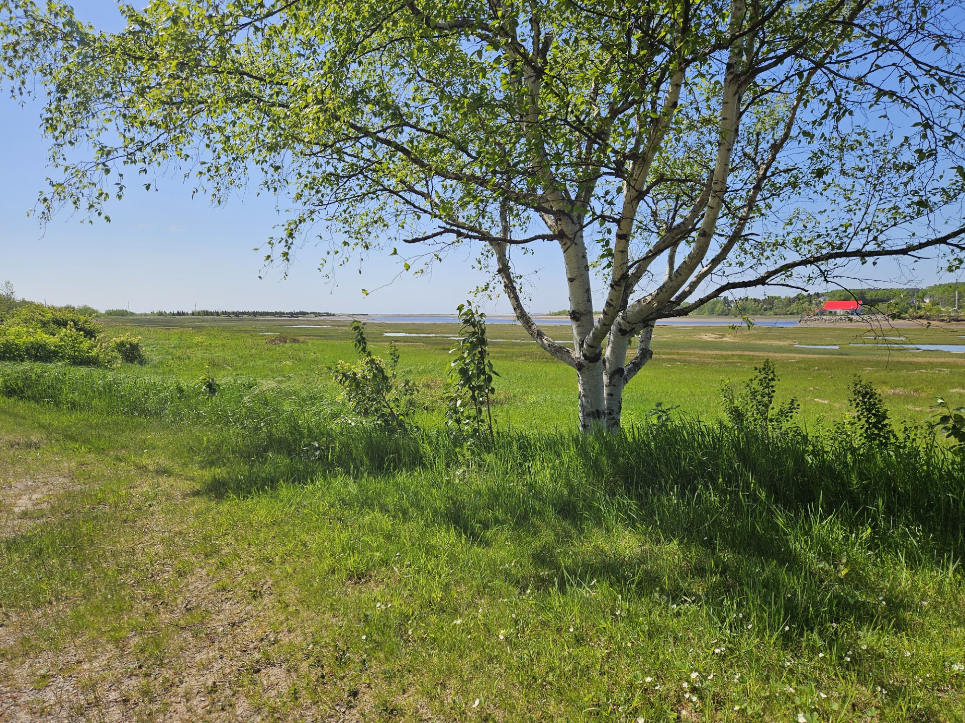 Nous joindre Camping PortneufsurMer